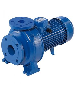 Ebara 3D/I 32-125/1.1 Centrifugal Pump - 400v - Three Phase - 333 Ltr/min