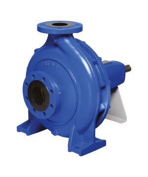 Ebara GS 50-250 -270/B1 Bareshaft End Suction Pump - No Motor - Cast Iron Impeller