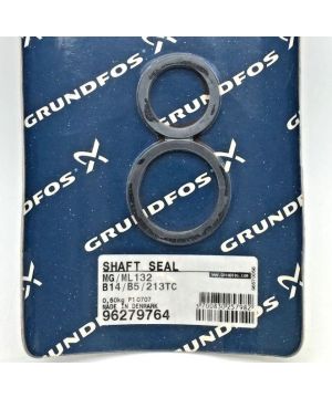 Motor Seal Kit 96279764