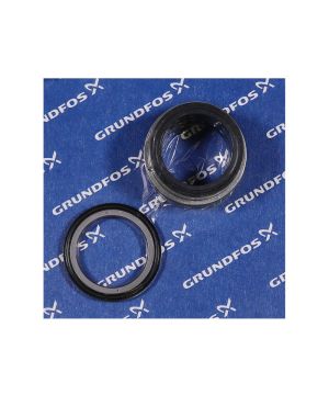 Grundfos BQQE GG D48 Replacement Shaft Seal