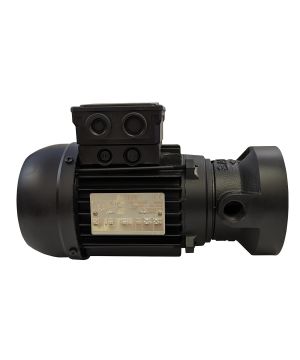 Sacemi AU63-1/2-3 Gamar Tank Mounted Pump - 13 Ltr/min