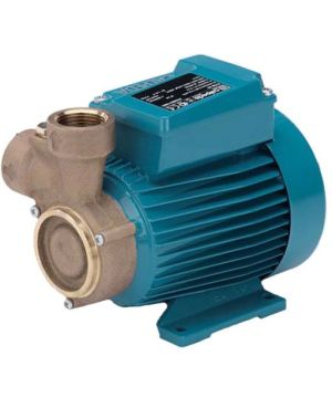 Calpeda B-CT 61/A Bronze Peripheral Booster Pump