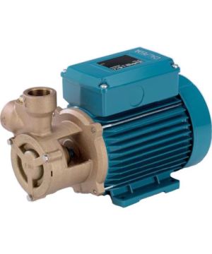 Calpeda B-TM 61E Bronze Peripheral Booster Pump - Single Phase